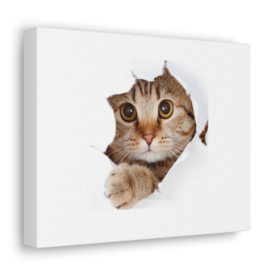 Ginger Cat, Orange Cat on Canvas Gallery Wraps, Cat Kitten Picture Prints